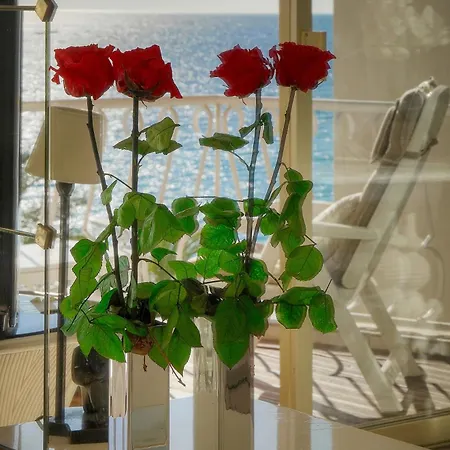 Appartamento Sab -terrasse Front De - Vca Cannes